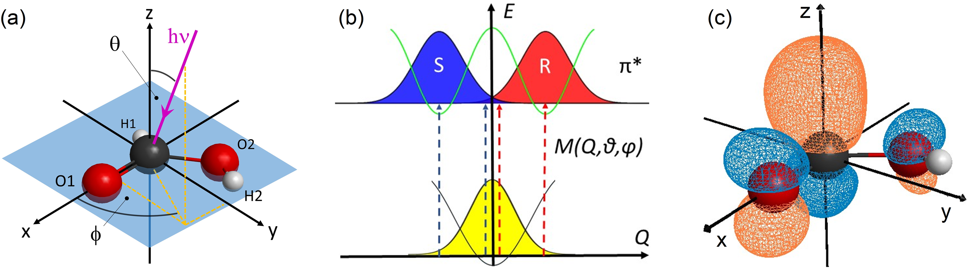 fig1